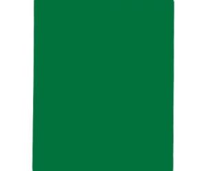 Cartellino Verde per il fair play di vari sport