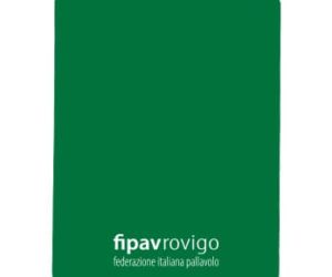 Cartellino verde per il fair play di vari sport